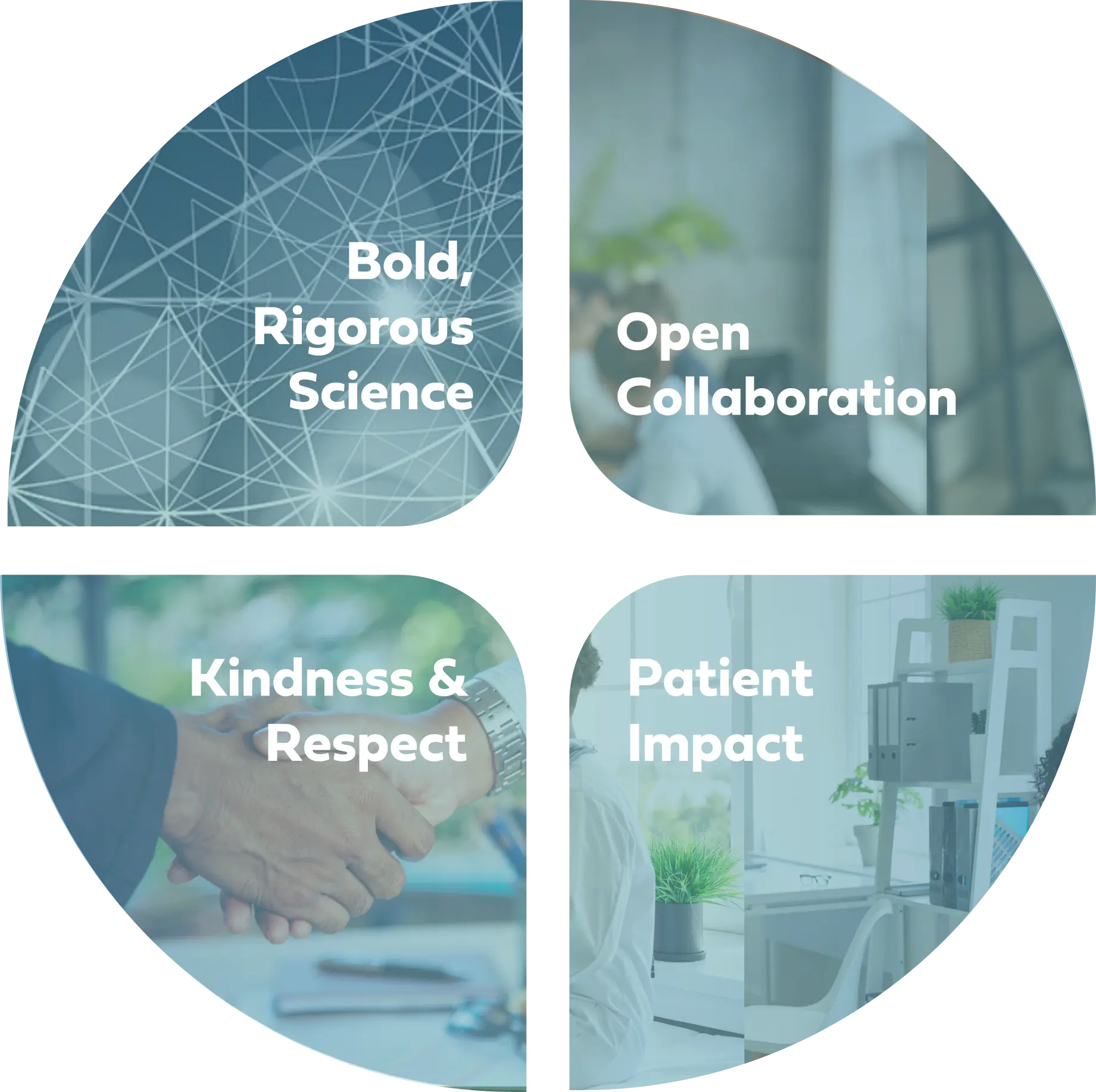 Pie chart graphic with Triveni’s values.